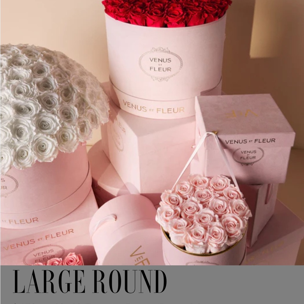 Pink Velvet Round Rose Box with White Roses - Picture 5 of 5